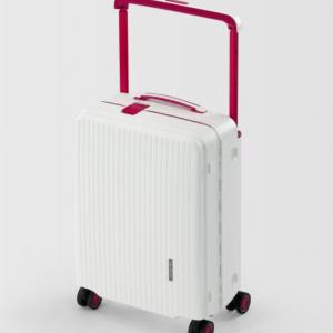 adrienne vittadini luggage